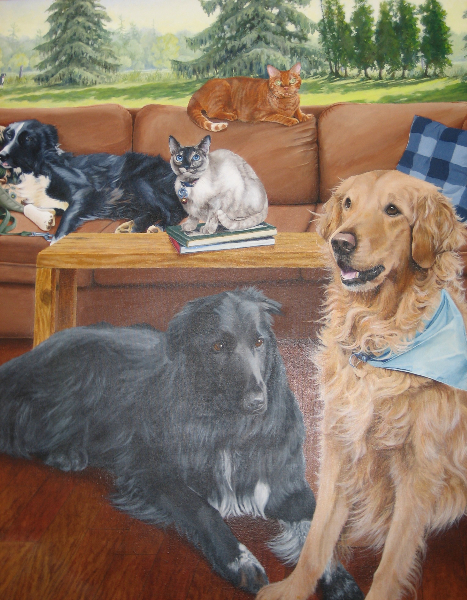 Derry Road Animal Hospital - Veterinarian serving Mississauga ON - Welcome to our site! Derry Road Animal Hospital - Veterinarian serving Mississauga ON - Welcome to our site!