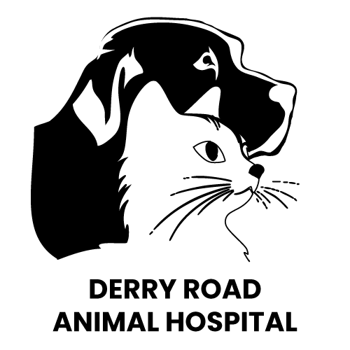 Derry Road Animal  Hospital Logo